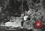 Image des manoeuvres de l'Armée rouge 'Union soviétique, 1940, de la seconde 44 séquences d'archives historiques vidéo 65675066227