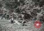 Image des manoeuvres de l'Armée rouge 'Union soviétique, 1940, de la seconde 49 séquences d'archives historiques vidéo 65675066227