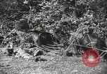 Image des manoeuvres de l'Armée rouge 'Union soviétique, 1940, de la seconde 50 séquences d'archives historiques vidéo 65675066227