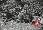 Image des manoeuvres de l'Armée rouge 'Union soviétique, 1940, de la seconde 51 séquences d'archives historiques vidéo 65675066227