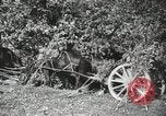 Image des manoeuvres de l'Armée rouge 'Union soviétique, 1940, de la seconde 52 séquences d'archives historiques vidéo 65675066227