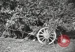Image des manoeuvres de l'Armée rouge 'Union soviétique, 1940, de la seconde 53 séquences d'archives historiques vidéo 65675066227
