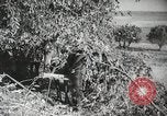 Image des manoeuvres de l'Armée rouge 'Union soviétique, 1940, de la seconde 60 séquences d'archives historiques vidéo 65675066227