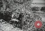 Image des manoeuvres de l'Armée rouge 'Union soviétique, 1940, de la seconde 61 séquences d'archives historiques vidéo 65675066227