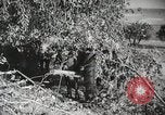 Image des manoeuvres de l'Armée rouge 'Union soviétique, 1940, de la seconde 62 séquences d'archives historiques vidéo 65675066227
