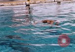 Image of Camp Pendleton California United States USA, 1966, second 3 stock footage video 65675066238
