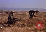 Standbild 27 Marine Regiment Korps Camp Pendleton California USA, 1967, aus Sekunde 42 historischem Filmmaterial Videoclip 65675066245