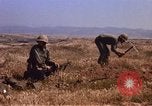 Standbild 27 Marine Regiment Korps Camp Pendleton California USA, 1967, aus Sekunde 43 historischem Filmmaterial Videoclip 65675066245
