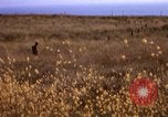 Image of Operation Alligator Hide Camp Pendleton California USA, 1967, second 7 stock footage video 65675066249