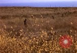 Image of Operation Alligator Hide Camp Pendleton California USA, 1967, second 9 stock footage video 65675066249