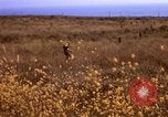 Image of Operation Alligator Hide Camp Pendleton California USA, 1967, second 10 stock footage video 65675066249