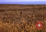 Image of Operation Alligator Hide Camp Pendleton California USA, 1967, second 11 stock footage video 65675066249