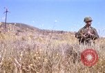 Image of Operation Alligator Hide Camp Pendleton California USA, 1967, second 12 stock footage video 65675066249