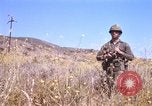 Image of Operation Alligator Hide Camp Pendleton California USA, 1967, second 13 stock footage video 65675066249