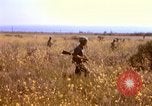 Image of Operation Alligator Hide Camp Pendleton California USA, 1967, second 25 stock footage video 65675066249