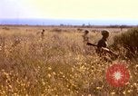 Image of Operation Alligator Hide Camp Pendleton California USA, 1967, second 27 stock footage video 65675066249