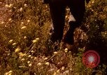 Image of Operation Alligator Hide Camp Pendleton California USA, 1967, second 30 stock footage video 65675066249