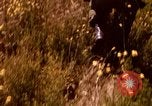 Image of Operation Alligator Hide Camp Pendleton California USA, 1967, second 31 stock footage video 65675066249