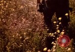 Image of Operation Alligator Hide Camp Pendleton California USA, 1967, second 32 stock footage video 65675066249