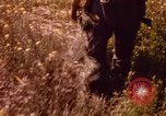 Image of Operation Alligator Hide Camp Pendleton California USA, 1967, second 33 stock footage video 65675066249