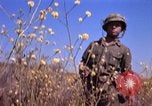 Image of Operation Alligator Hide Camp Pendleton California USA, 1967, second 47 stock footage video 65675066249
