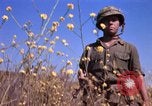 Image of Operation Alligator Hide Camp Pendleton California USA, 1967, second 48 stock footage video 65675066249