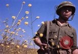 Image of Operation Alligator Hide Camp Pendleton California USA, 1967, second 49 stock footage video 65675066249