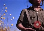 Image of Operation Alligator Hide Camp Pendleton California USA, 1967, second 50 stock footage video 65675066249