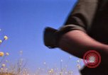 Image of Operation Alligator Hide Camp Pendleton California USA, 1967, second 51 stock footage video 65675066249