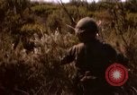 Image of Operation Alligator Hide Camp Pendleton California USA, 1967, second 53 stock footage video 65675066249