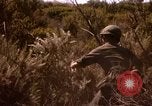 Image of Operation Alligator Hide Camp Pendleton California USA, 1967, second 55 stock footage video 65675066249