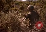 Image of Operation Alligator Hide Camp Pendleton California USA, 1967, second 56 stock footage video 65675066249