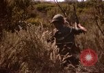 Image of Operation Alligator Hide Camp Pendleton California USA, 1967, second 57 stock footage video 65675066249