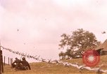 Standbild Operation Alligator ausblenden Camp Pendleton California USA, 1967, aus Sekunde 7 historischem Filmmaterial Videoclip 65675066250
