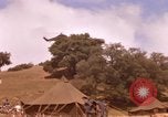Standbild Operation Alligator ausblenden Camp Pendleton California USA, 1967, aus Sekunde 22 historischem Filmmaterial Videoclip 65675066250