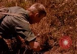 Image of Operation Alligator Hide Camp Pendleton California USA, 1967, second 46 stock footage video 65675066251