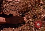 Image of Operation Alligator Hide Camp Pendleton California USA, 1967, second 56 stock footage video 65675066251