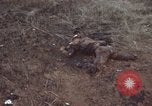 Standbild Viet Cong Angriff Phouc lange Vietnam, 1965, aus Sekunde 7 historischem Filmmaterial Videoclip 65675066255