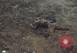 Standbild Viet Cong Angriff Phouc lange Vietnam, 1965, aus Sekunde 10 historischem Filmmaterial Videoclip 65675066255