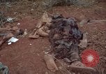 Standbild Viet Cong Angriff Phouc lange Vietnam, 1965, aus Sekunde 38 historischem Filmmaterial Videoclip 65675066255