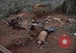 Standbild Viet Cong Angriff Phouc lange Vietnam, 1965, aus Sekunde 48 historischem Filmmaterial Videoclip 65675066255