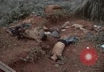 Standbild Viet Cong Angriff Phouc lange Vietnam, 1965, aus Sekunde 49 historischem Filmmaterial Videoclip 65675066255