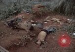 Standbild Viet Cong Angriff Phouc lange Vietnam, 1965, aus Sekunde 53 historischem Filmmaterial Videoclip 65675066255
