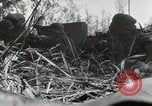 Image prisonniers japonais Buna Nouvelle Guinée, 1943, de la seconde 13 séquences d'archives historiques vidéo 65675066257