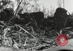 Image prisonniers japonais Buna Nouvelle Guinée, 1943, de la seconde 15 séquences d'archives historiques vidéo 65675066257