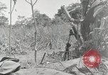 Image prisonniers japonais Buna Nouvelle Guinée, 1943, de la seconde 23 séquences d'archives historiques vidéo 65675066257