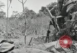Image prisonniers japonais Buna Nouvelle Guinée, 1943, de la seconde 24 séquences d'archives historiques vidéo 65675066257