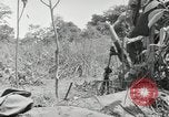 Image prisonniers japonais Buna Nouvelle Guinée, 1943, de la seconde 25 séquences d'archives historiques vidéo 65675066257