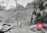 Image prisonniers japonais Buna Nouvelle Guinée, 1943, de la seconde 28 séquences d'archives historiques vidéo 65675066257
