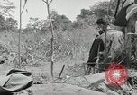 Image prisonniers japonais Buna Nouvelle Guinée, 1943, de la seconde 29 séquences d'archives historiques vidéo 65675066257